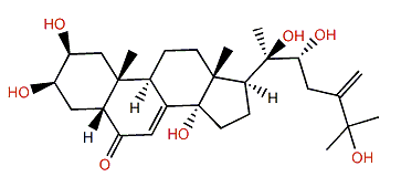 24(28)-Dehydromakisterone A